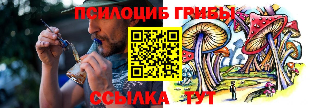 Галлюциногенные грибы мицелий  Вход с VPN  Горячий Ключ  Галлюциногенные грибы Psilocybine cubensis 