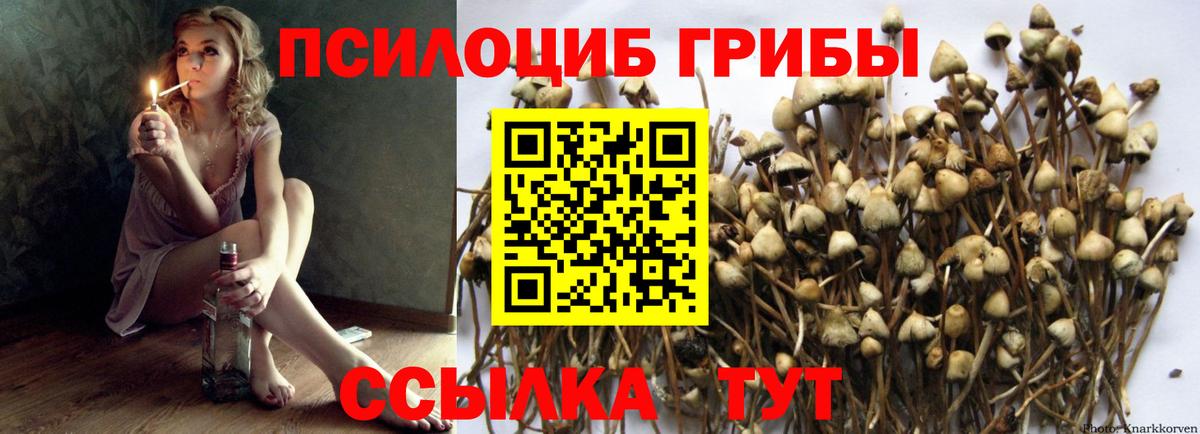 Галлюциногенные грибы прущие грибы Горячий Ключ
